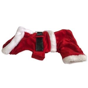 Santa pet costume